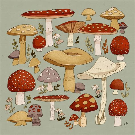 Use light, gentle lines and don’t worry about making mistakes. . Aesthetic mushroom drawings